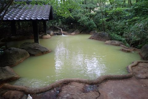 筌の口温泉：新清館（温泉レポ）
