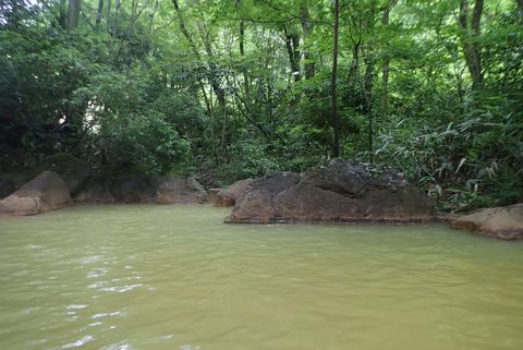 筌の口温泉：新清館（温泉レポ）