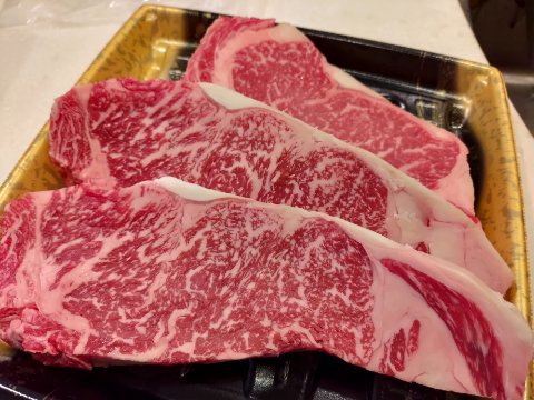 初ベラキャン！