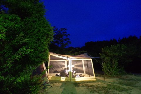 実は今日もキャンプです！