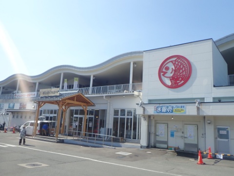 防府で春を見つけました！