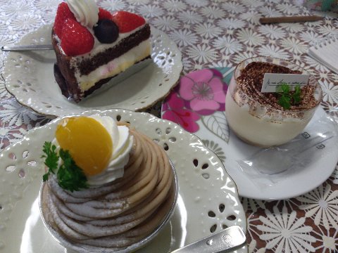 実は今日もキャンプです！