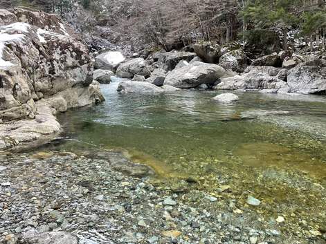 【初釣り】天川ニジマス冬季釣り場