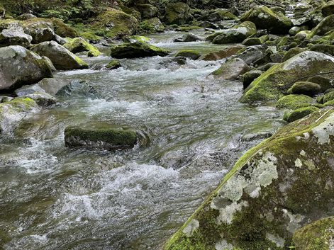 色々考えさせられた４泊５日 飛騨/長野遠征