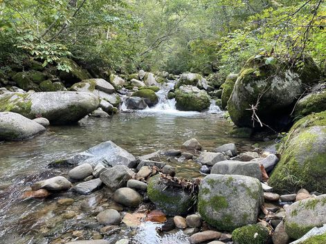 今季最終☆富山源流のFF釣り