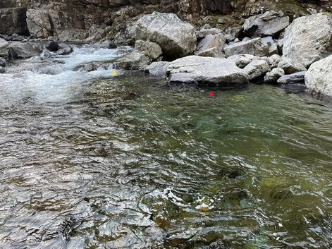 奈良県 天川ニジマス冬季釣り場 再び