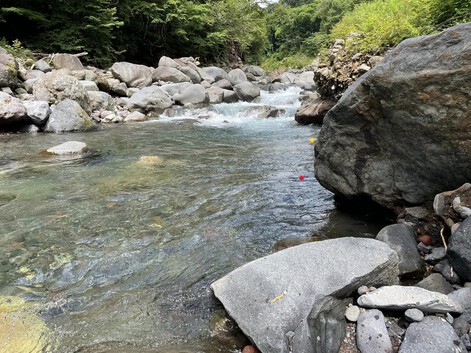 木曽川水系 増水で80㌔移動し辛くも釣果得るの巻