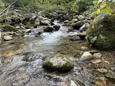 今季最終☆富山源流のFF釣り