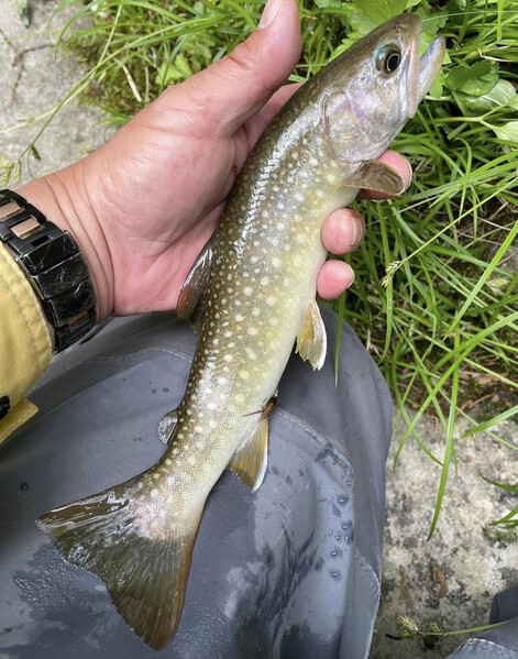 色々考えさせられた４泊５日 飛騨/長野遠征