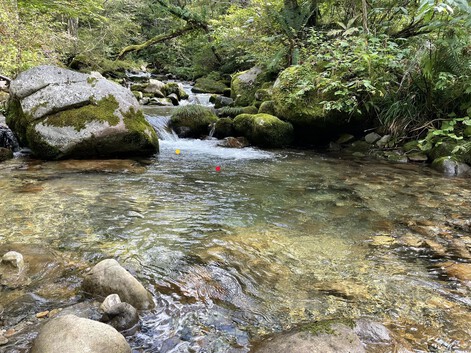 今季最終☆富山源流のFF釣り