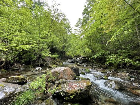 色々考えさせられた４泊５日 飛騨/長野遠征