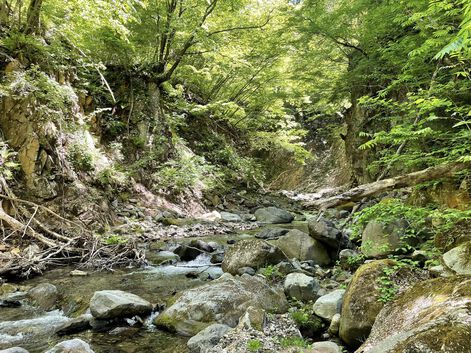 色々考えさせられた４泊５日 飛騨/長野遠征