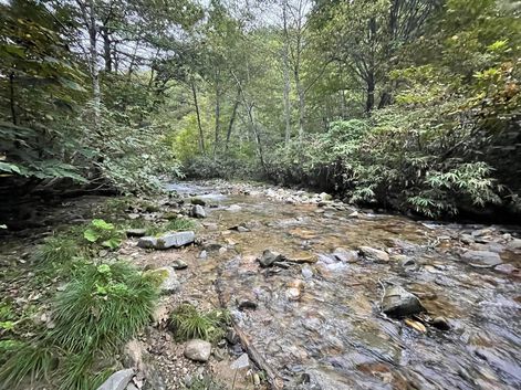 今季最終☆富山源流のFF釣り