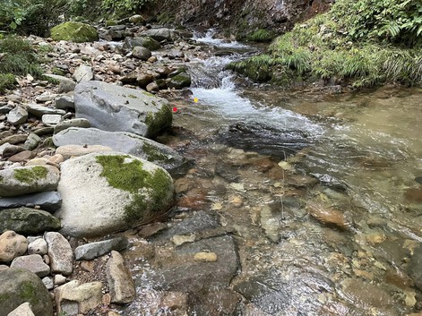 今季最終☆富山源流のFF釣り