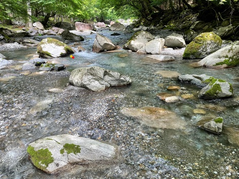 先行者が居ても釣れる時ャ∼釣れるの巻