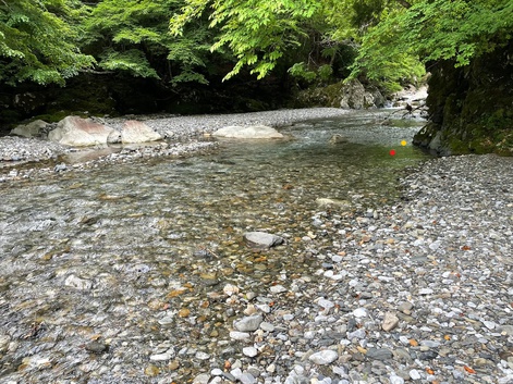 先行者が居ても釣れる時ャ∼釣れるの巻