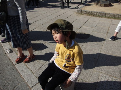 奈良市民による、プチ奈良観光、食彩博