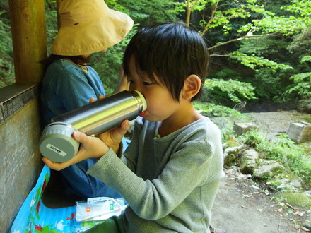 天気のいい日曜は森林浴へ