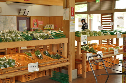 ホタルキャンプ、ヒストリーパーク塚原、その1