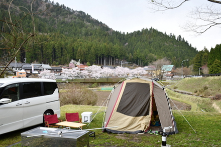 荒れた天気でしたなぁ、お花見キャンプ、美山町自然文化村、その2