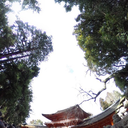 今年はオネイタン？JK？それとも、、日時計の丘公園AC、その2