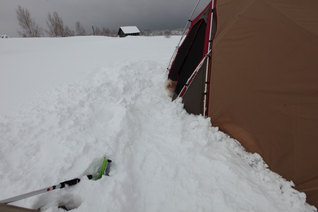 SPHQ雪中キャンプ