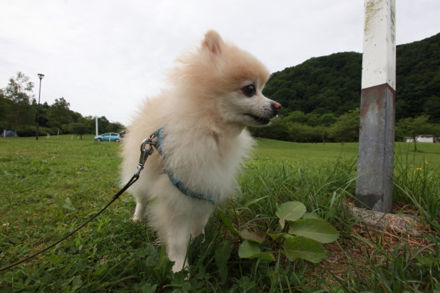 2016北海道夏巡業キャンプ　2日目