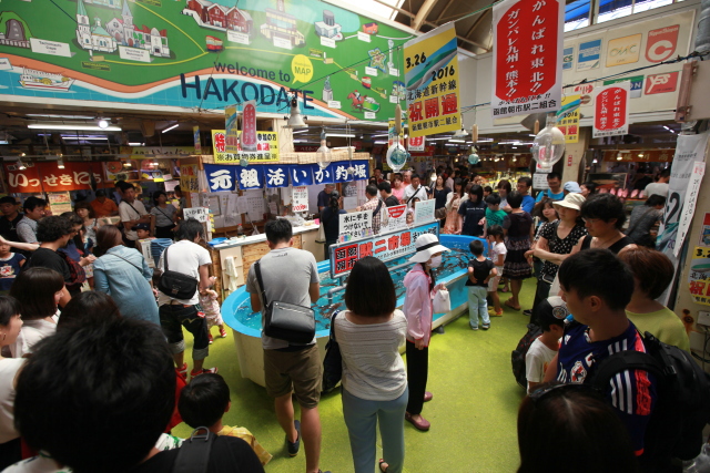 函館のイカ釣り