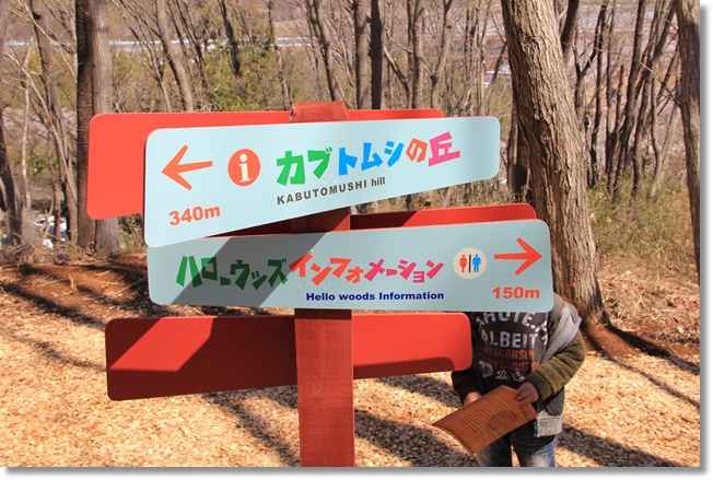 春の自然散策へ