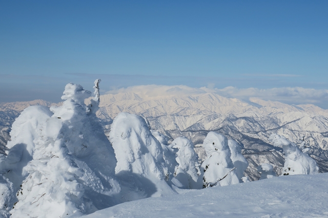 西吾妻山のスノーモンスター（2）