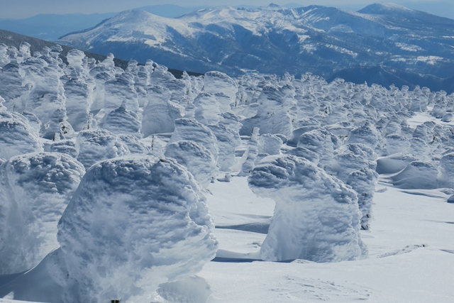 西吾妻山のスノーモンスター（2）