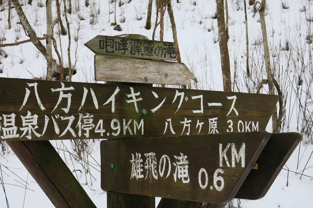スッカン沢の氷柱群