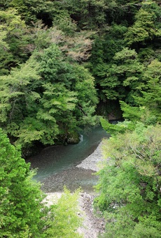 愛知川へ
