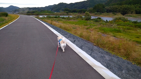 焚火と散歩と買い物♪