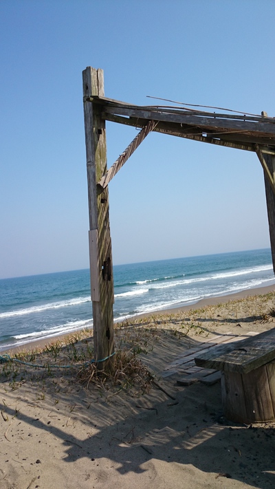 海…