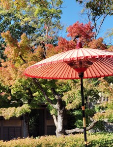 紅葉RUN＊養浩館庭園と足羽山