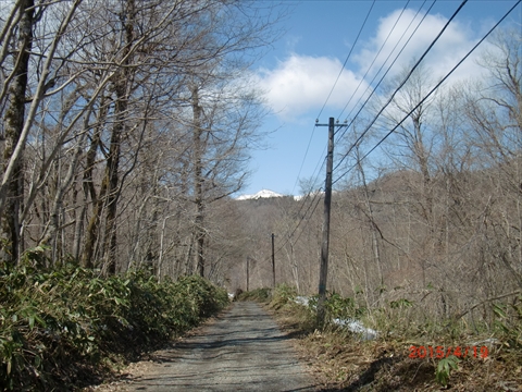 15.4.19_川沿いの道01