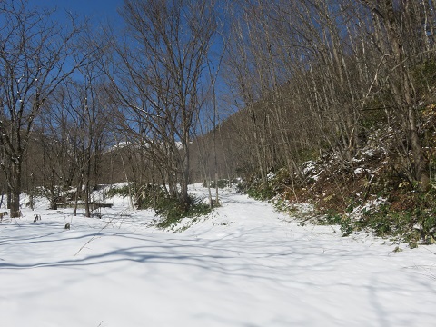 沢の右側には林道？