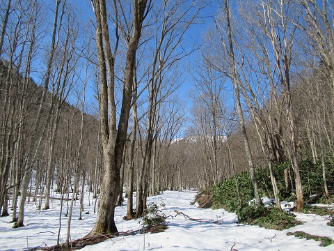 滝上町の山ん中 03