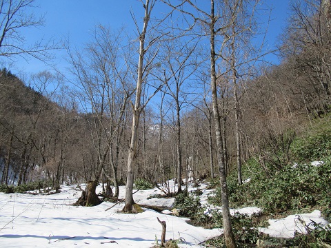 滝上町の山ん中 04