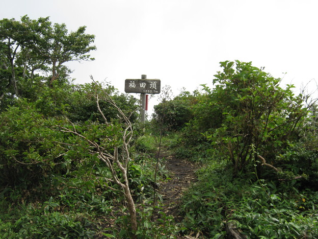 95763025