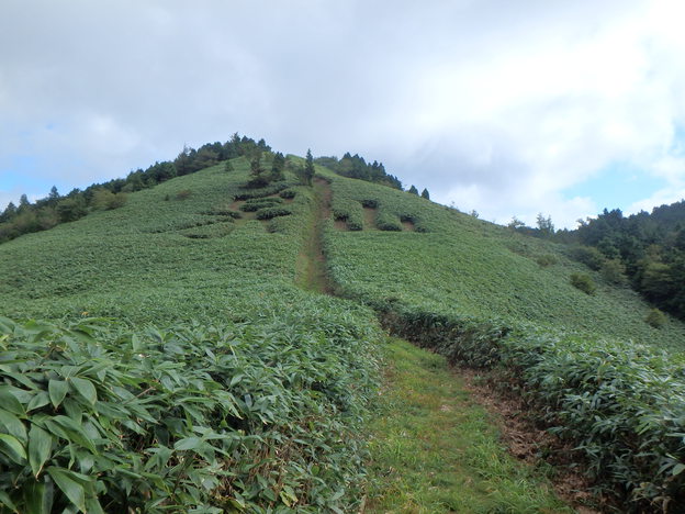 P9190029
