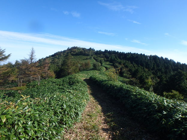 P9220017