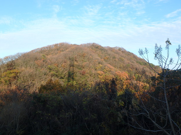 PC060011