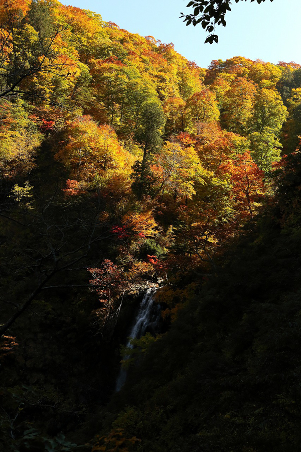 東北遠征4（茶釜の滝）