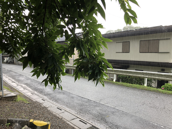 日和田山・物見山