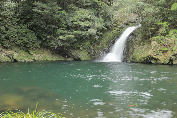 奄美大島の滝巡り－③