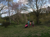 かずさオートキャンプ場20150411後編 2015/04/15 09:59:06