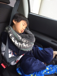 清水公園キャンプ場20160213 2016/02/16 16:15:29
