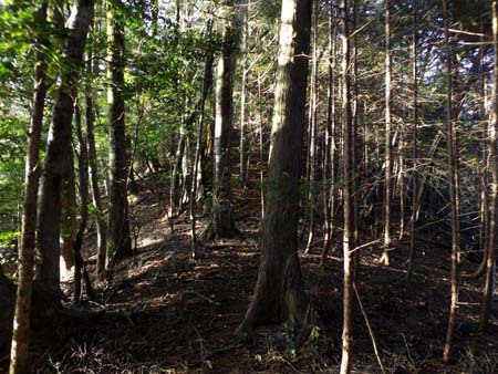 山中の通学路。その①